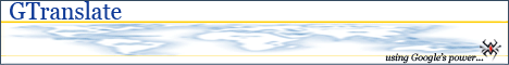 Automatic Website Translator